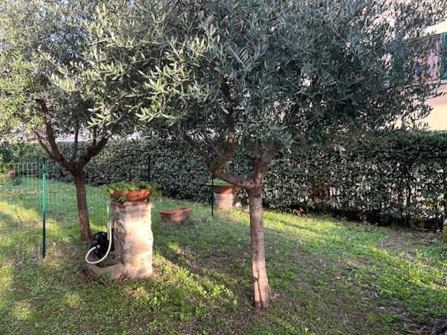 La Casa Di Claudia Сasa de vacaciones Florencia