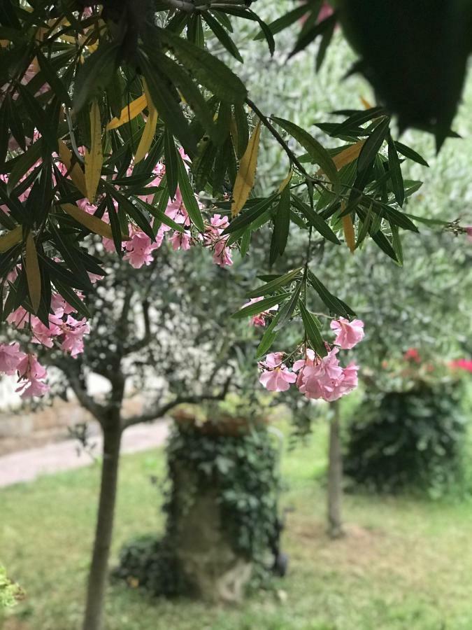 La Casa Di Claudia Florencia